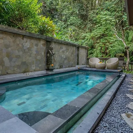 Ubud River Villa, Pool, River View